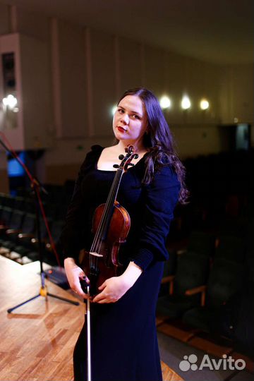 Живая музыка (скрипка)