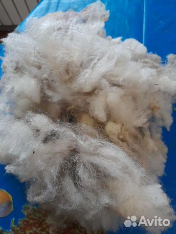 Шерсть овечья