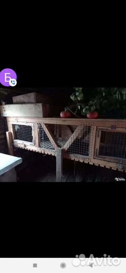 Клетки для кроликов