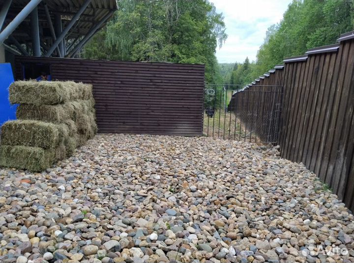 Сено,укос 2024 год