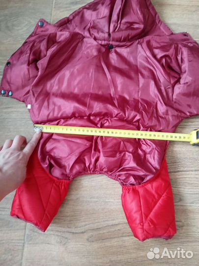 Одежда для маленьких собак