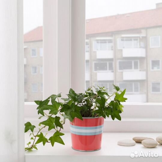 Новые кашпо, IKEA