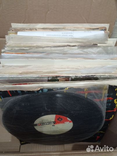 Виниловые пластинки