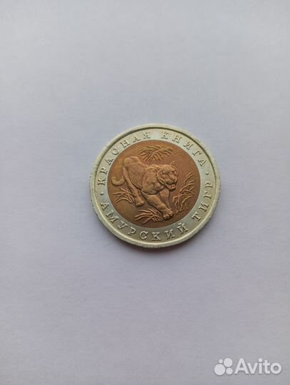 896 Красная книга 10 Амурский тигр