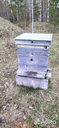 Улей для пчëл