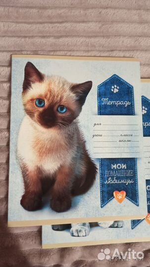 Школьная тетрадь в линейку 18 и 24 листа