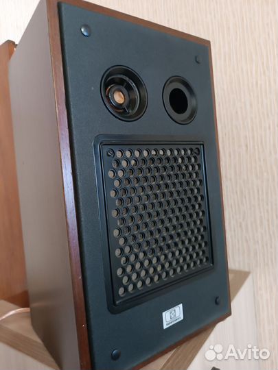 Акустическая система Радиотехника 10ас-9