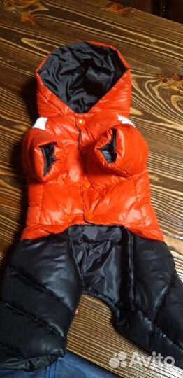 Зимний комбез на французского бульдога