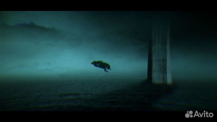 Съемка и монтаж видео