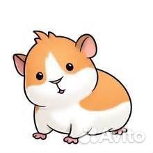 Помощник по хозяйству в питомник животных