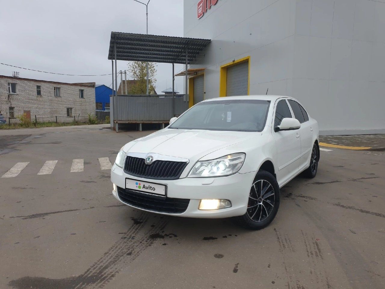 Skoda Octavia: фото владельца