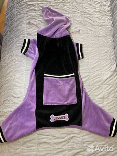 Одежда для собак