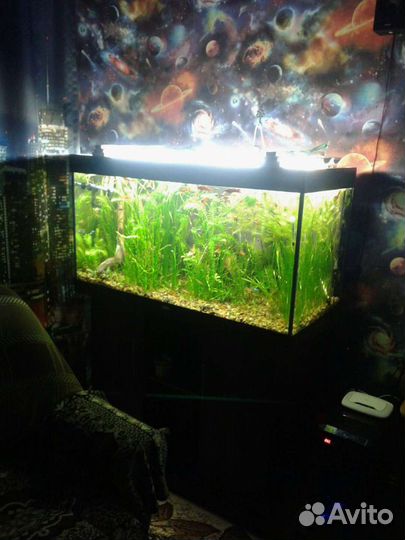 Аквариум