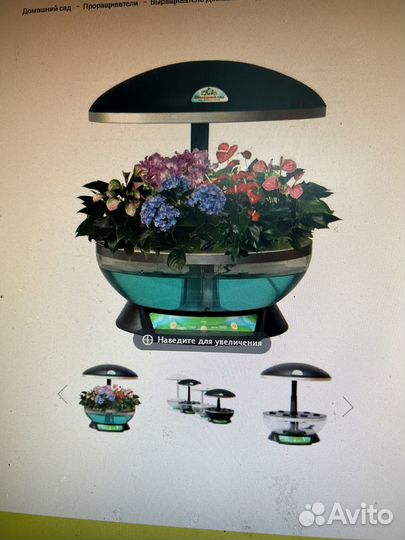 Домашний сад. Гидропоника б/у