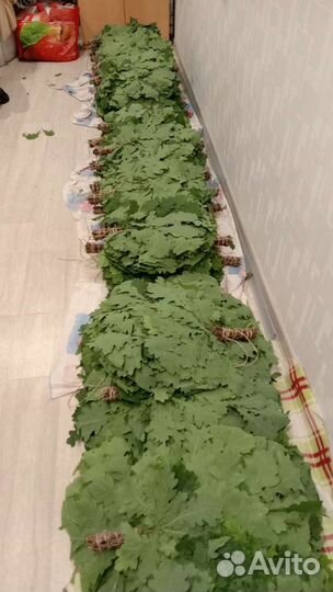 Веник берёзовый