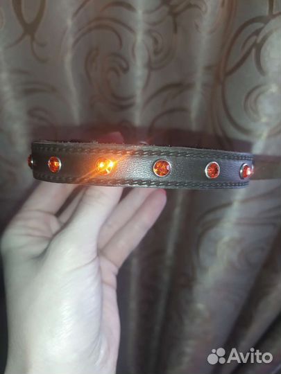 Ошейник для собак и кошек