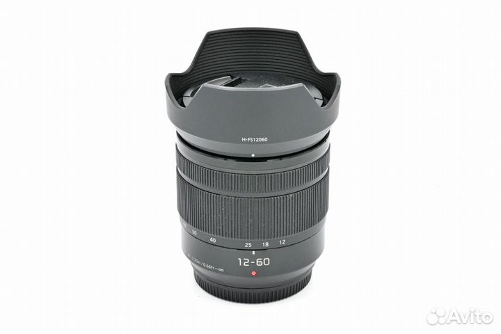 Panasonic 12-60mm f/3.5-5.6 Lumix G Vario O.I.S