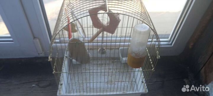 Клетка для попугая