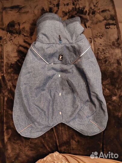 Одежда для средних собак