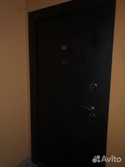 Дверь входная железная