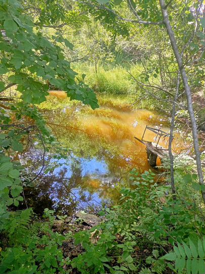 Участок 8 сот. (СНТ, ДНП)