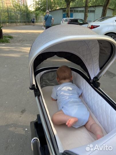 Коляска carello optima 2 в 1