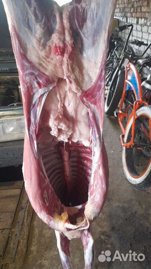 Мясо баранина свежая