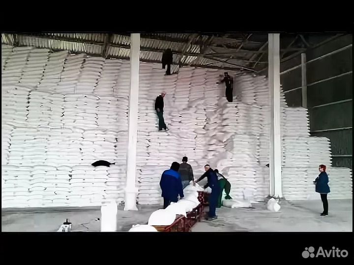 Грузчик сахарный завод. Краснодарский край