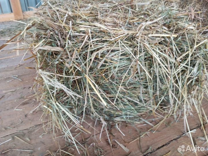 Сено в тюках, разнотравье