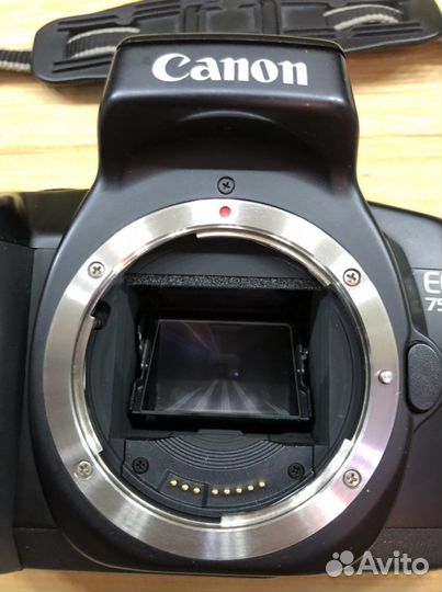 Canon пленочные