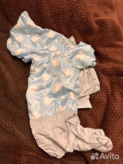 Вещи для собак мелких пород