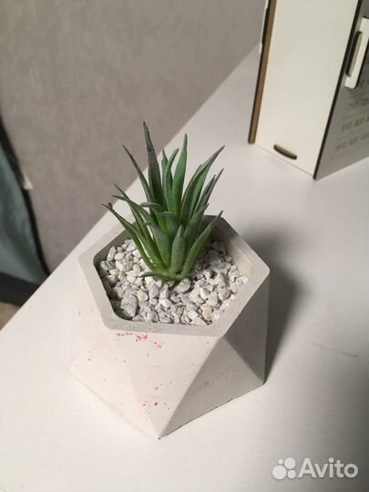 Кашпо из гипса