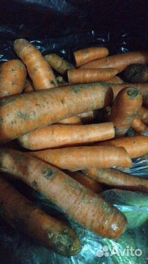 Молочка,овощи,хлеб,мясо только для животных