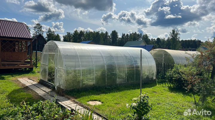 Теплица из поликарбоната 6х3