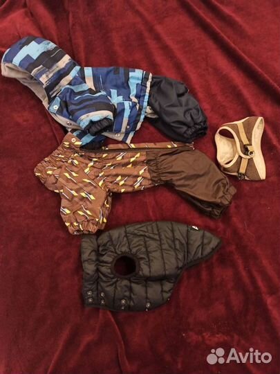 Вещи для собаки 23, 30-33, 37 см