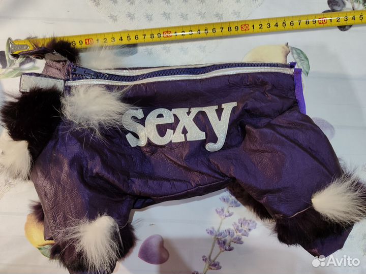 Одежда для маленьких собак