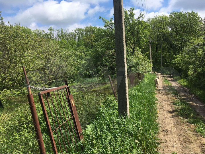 Участок 13,5 сот. (СНТ, ДНП)