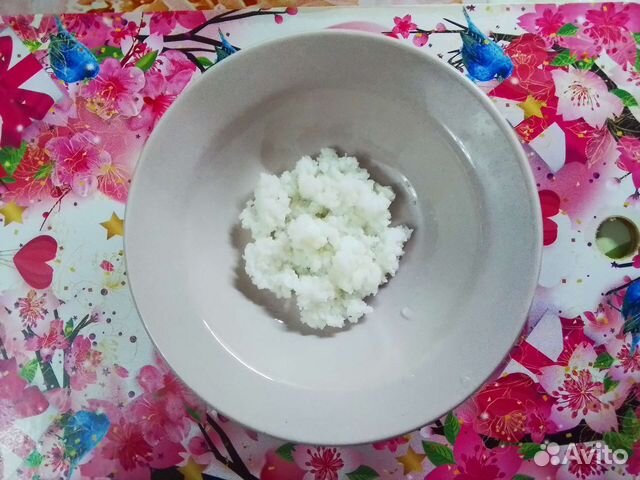 Молочный гриб