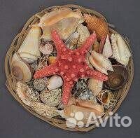 Набор ракушек в корзине 8