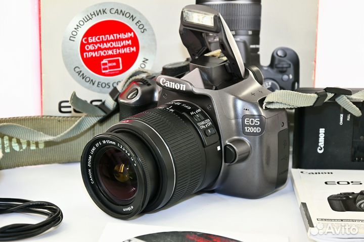 Canon EOS 1200D/T5 18.0MP silver Kit 18-55