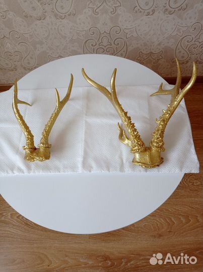 Оленьи рога настоящие
