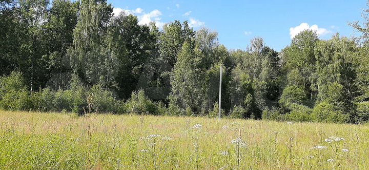 Участок 9 сот. (ИЖС)