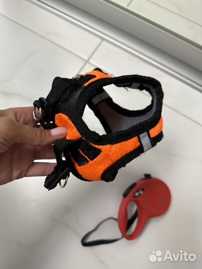 Рулетка для собак flexi 3 m и шлейка