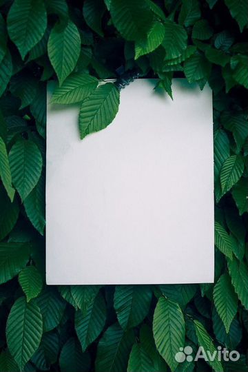 Офисная бумага a4 белая оптом