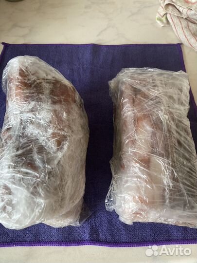 Продам свежего осминога