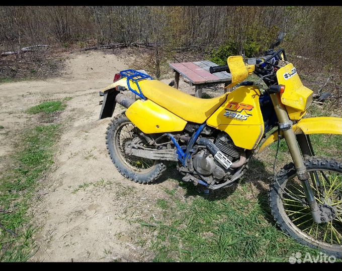 Suzuki dr 250s