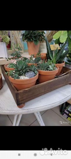 Керамические горшки терракот