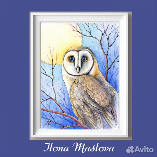 Рисунок сова сипуха