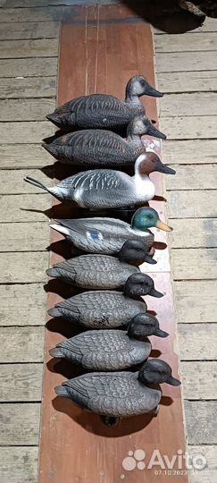 Чучела уток