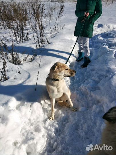 Мы одна команда